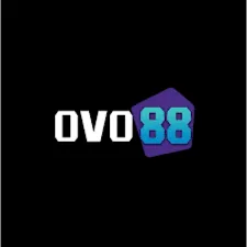 OVO88 - Manajer File Terbaik untuk Hp Anda